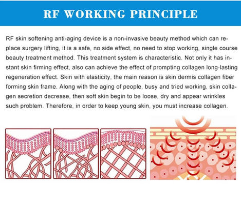 Multi Function 40KHZ EMS Face Lifting Beauty Machine